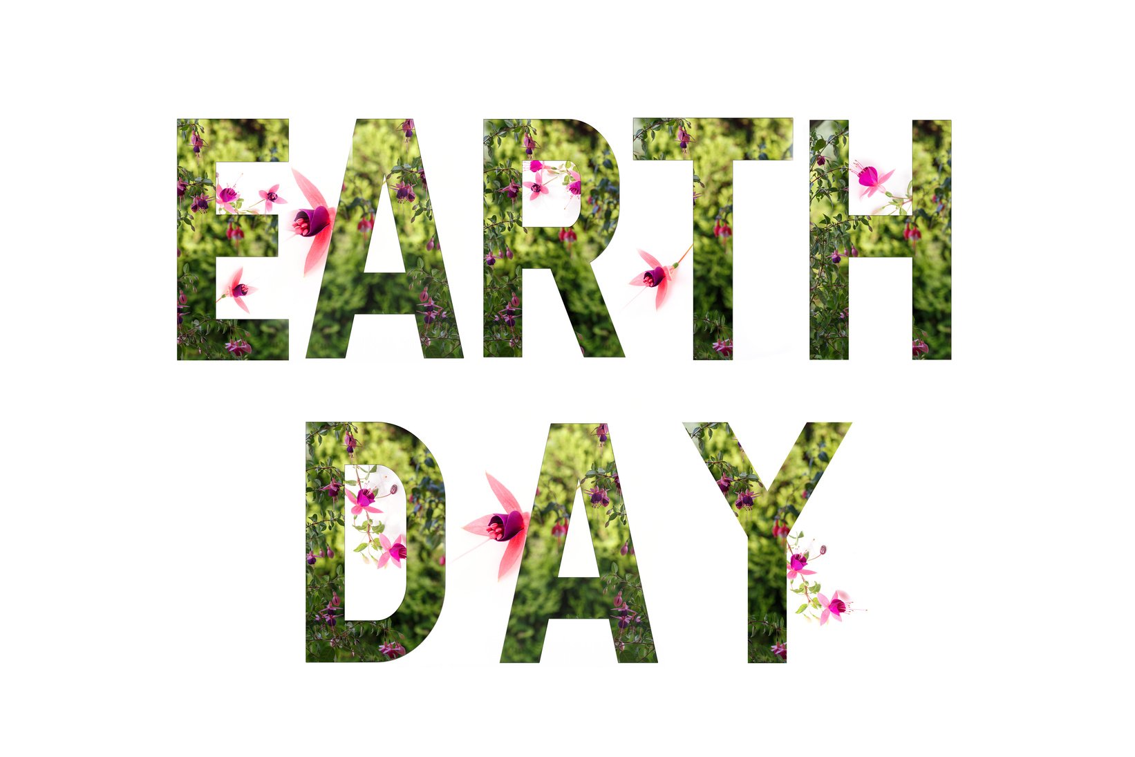 World earth day concept. Lettering Earth day with plants and wonderful flowers